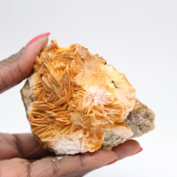 Compact orange barite specimen from Morocco