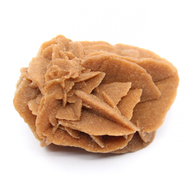 Moroccan Desert Rose Formation: Collector's Gypsum