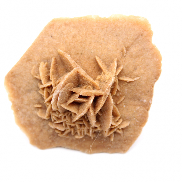 Gypsum rosette from Morocco: natural crystal from the Sahara