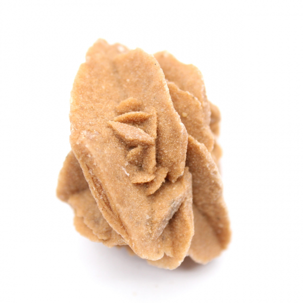 Moroccan desert rose: small raw collector's item