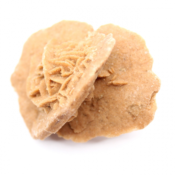 Moroccan desert rose: a crystalline bouquet of gypsum