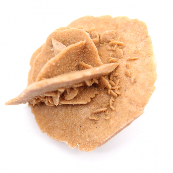 Moroccan desert rose: natural and aesthetic gypsum