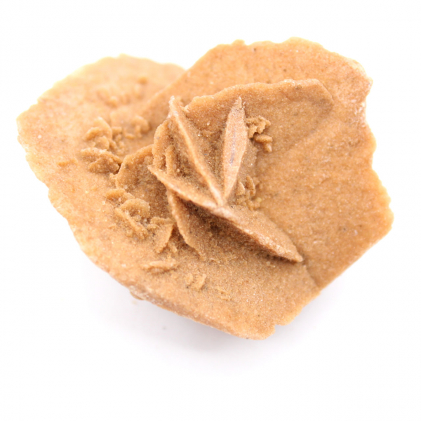 Moroccan desert rose: natural and aesthetic gypsum