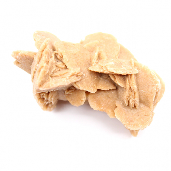 Specimen of crystallized gypsum: Desert rose of Morocco