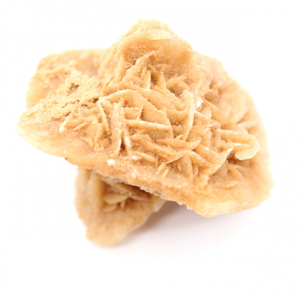 Moroccan desert rose: massive collector's rosette