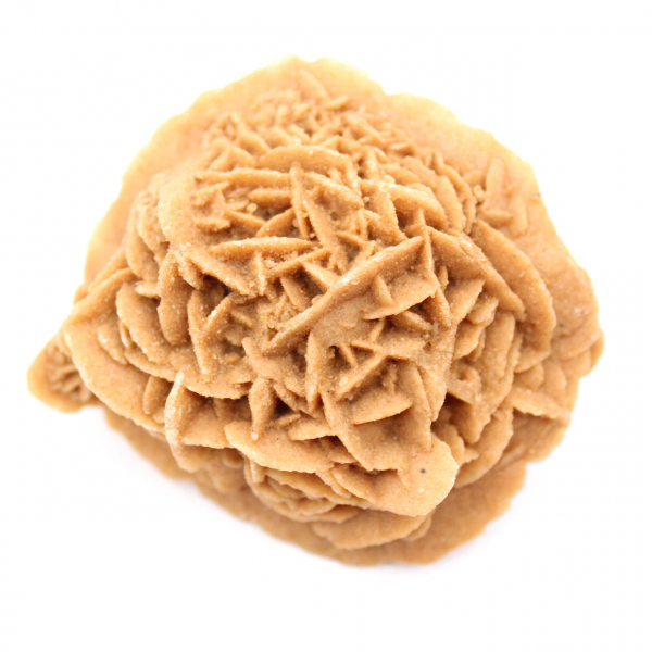 Specimen of Moroccan Desert Rose: dense crystallization