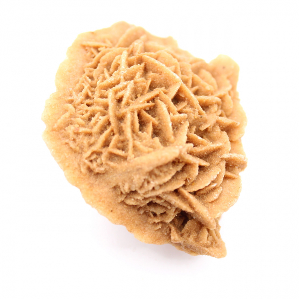 Specimen of Moroccan Desert Rose: dense crystallization