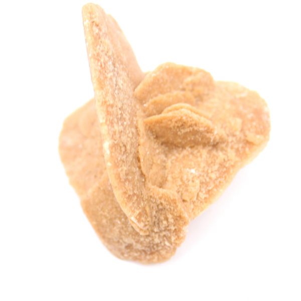 Desert rose of Morocco: the delicate gypsum crystals