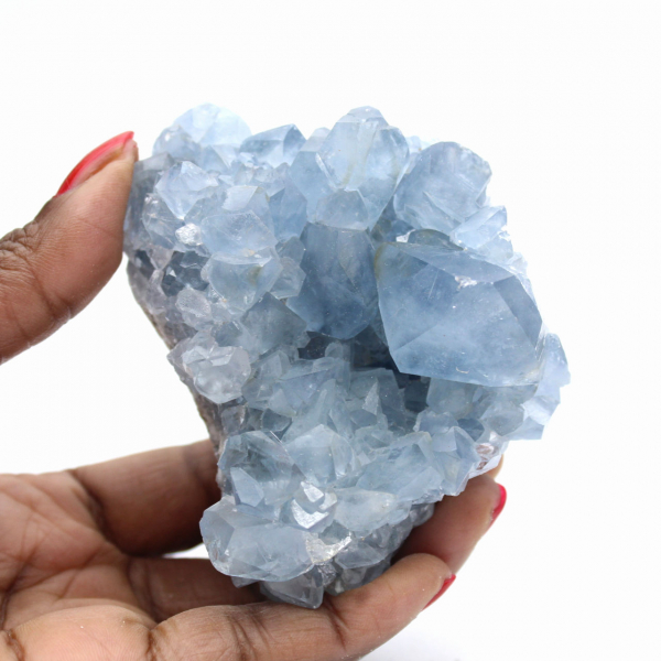 Celestite Specimen: Geode from Madagascar