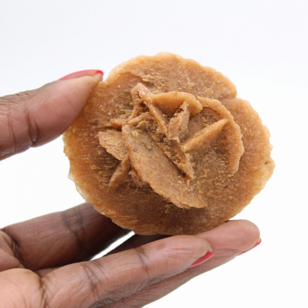 Moroccan desert rose: authentic crystalline structure