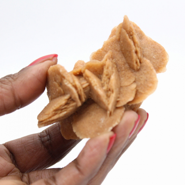 Specimen of crystallized gypsum: Desert rose of Morocco