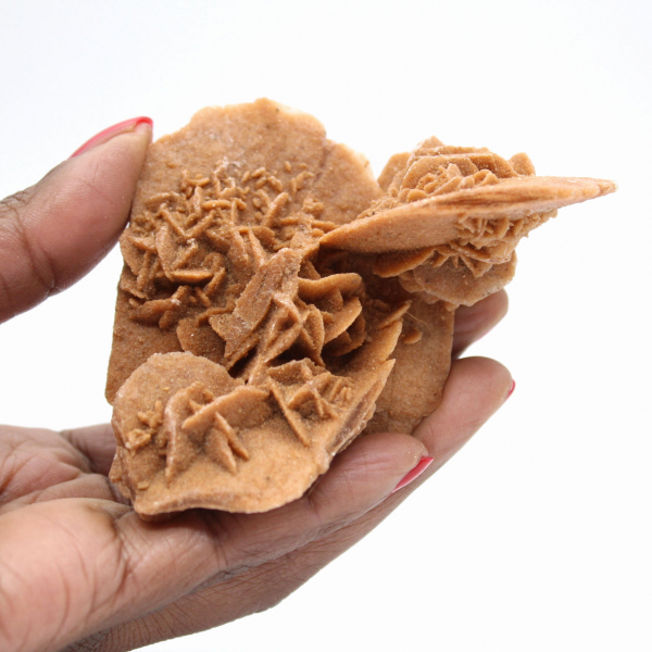 Desert rose of Morocco: substantial gypsum crystal