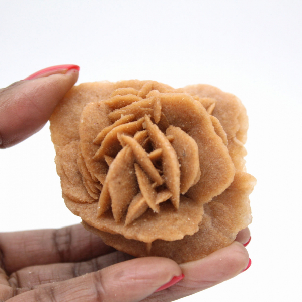 Moroccan desert rose: natural gypsum bouquet