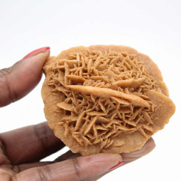 Specimen of Moroccan Desert Rose: dense crystallization