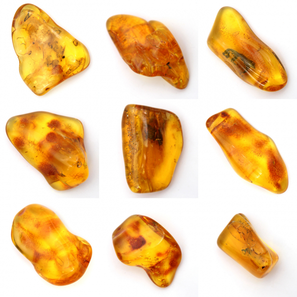 Yellow amber pebble from Lithuania for fossil collection