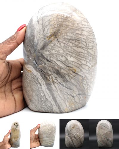 Gray Jaspers Madagascar collection December 2021 Gray Jaspers Madagascar collection December 2021