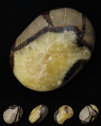 Pebbles of Septaria Madagascar collection February 2023