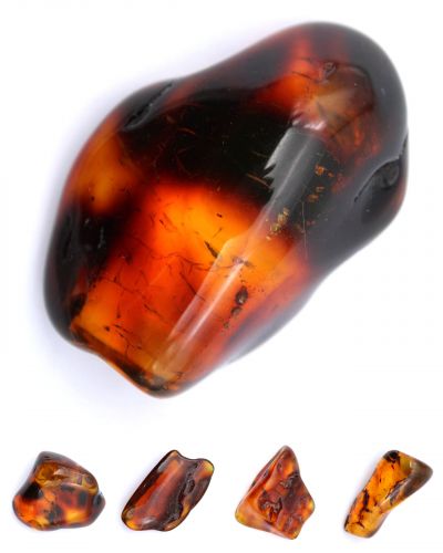 Polished ambers Lithuania collection January 2024