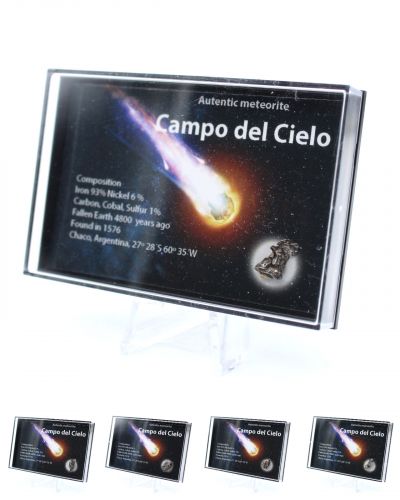 Campo del Cielo Meteorites Argentina collection February 2024