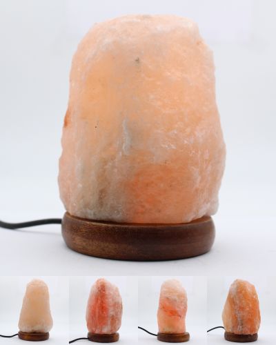 Himalayan lamp Pakistan collection February 2024 Himalayan lamp Pakistan collection February 2024