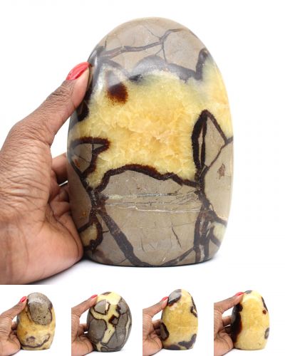 Septarian polis Madagascar collection March 2025