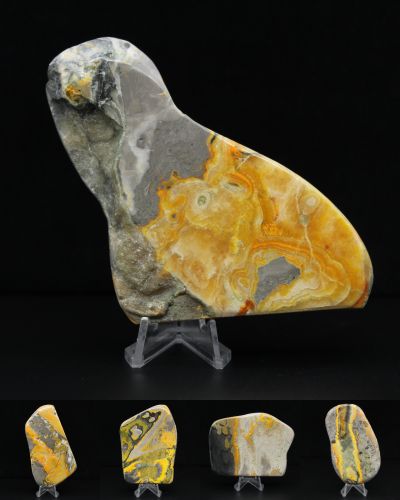 Bumblebee Jasper Indonesia collection February 2026