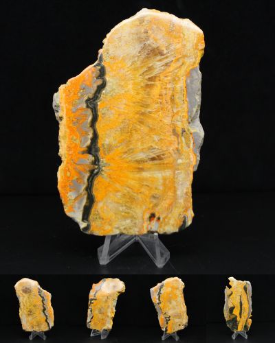 Bumblebee Jasper Indonesia collection June 2025