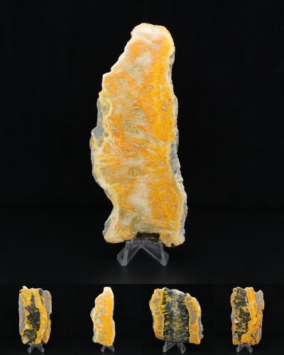 Bumblebee Jasper Indonesia collection April 2026