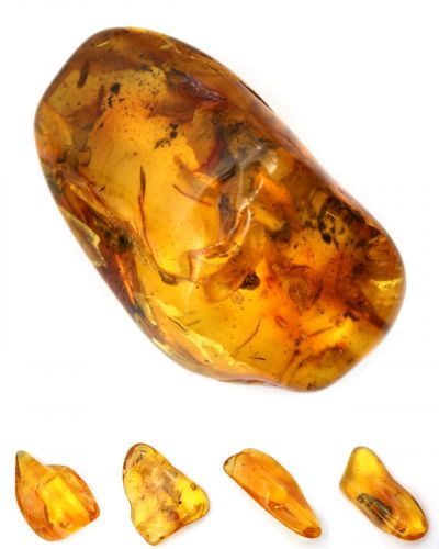 Amber Lithuania collection October 2025 Amber Lithuania collection October 2025