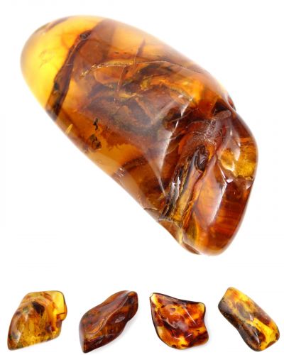 Amber Lithuania collection December 2025