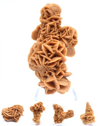 Sand rose Tunisia collection October 2025 Sand rose Tunisia collection October 2025