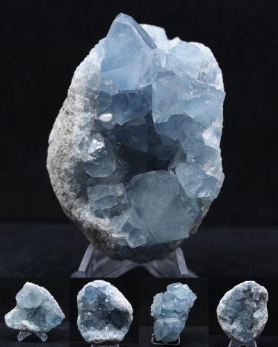 Celeste Madagascar collection February 2026 Celeste Madagascar collection February 2026