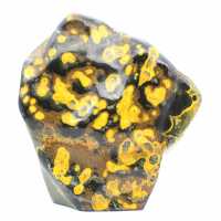 Discover bumblebee jasper, a natural stone with fascinating yellow and black patterns. A collector's item! Bumblebee Jasper