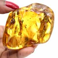 Natural amber from russia