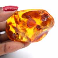 Natural amber pebble