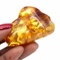 Polished amber stone