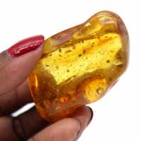 Amber stone pebble