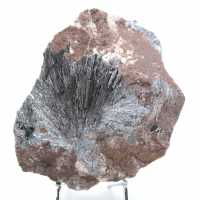 Raw pyrolusite rock