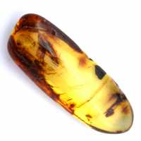 Natural yellow amber