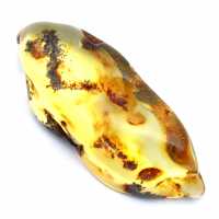 Fossilized amber