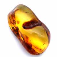 Natural amber