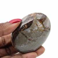 Pebble in septaria