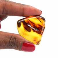 Polished amber pebble
