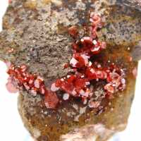 Vanadinite crystals on ganges