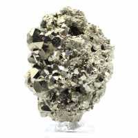 Crystallization of pyrite on base