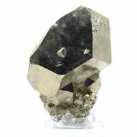 Peru pyrite crystals on base