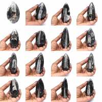 Orthoceras Fossil from Morocco Orthoceras Fossil from Morocco