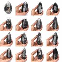 Orthoceras Fossil from Morocco Orthoceras Fossil from Morocco