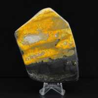 Bumblebee Polished Indonesia Collection