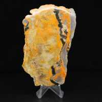 Bumblebee Jasper
